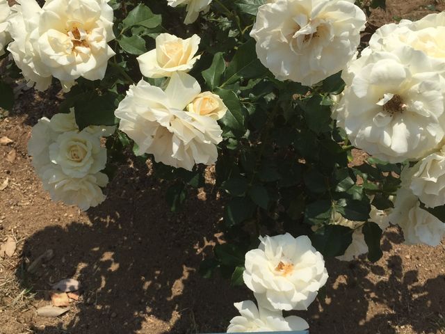 �~�������΂牀