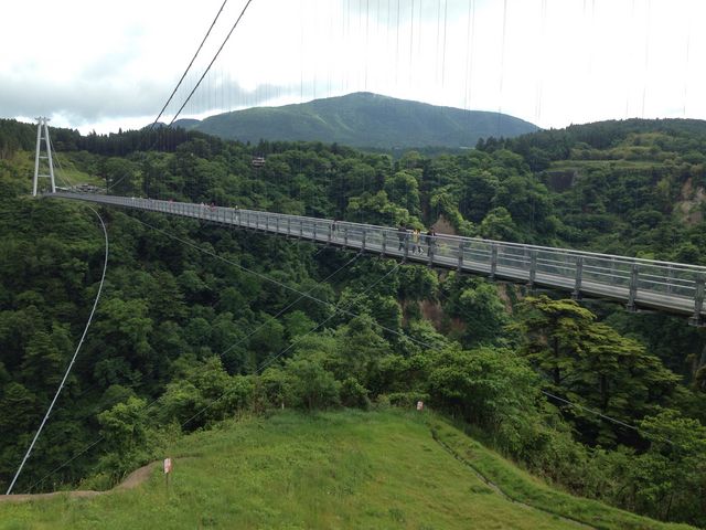 ��d�g���h��݋�