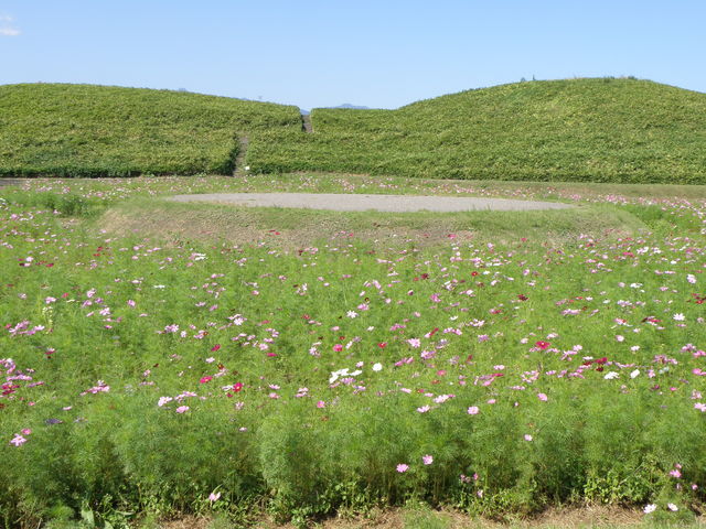 H̓qRÕ(O~)̊Ox́ARXX̉ԂJB_і͂ɂ̗