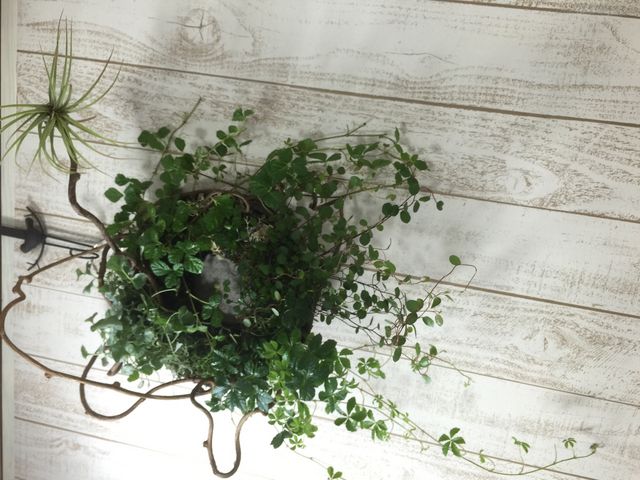 �u���Ă̊񂹐A���v�u���^�ɂ��E������ɂ��o���܂����_�ԃX���[���@�t�����[�A�����W�c�싳��