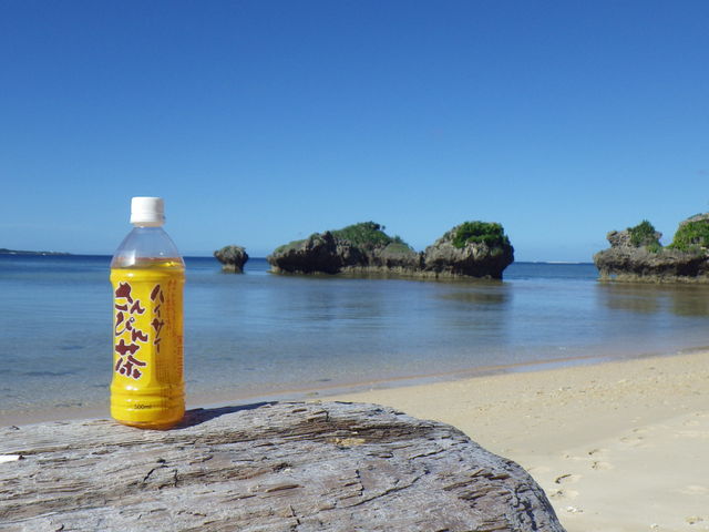 ���C�ɓ���̃r�[�`_���\��