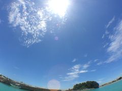 ̂˂S.E.P.}Nuւ̓eʐ^1