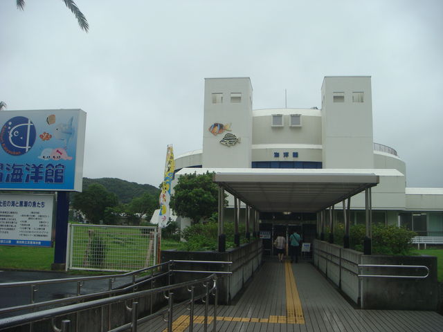 �C�m�ٓ����_�����C�m��