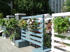 ��ʌ����̎ʐ^1