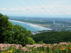 �X�m�[�N���[�Y�I�[���Y�̎ʐ^1