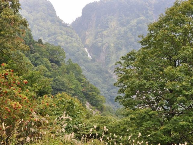 �g�t�O�ł�_�̖���