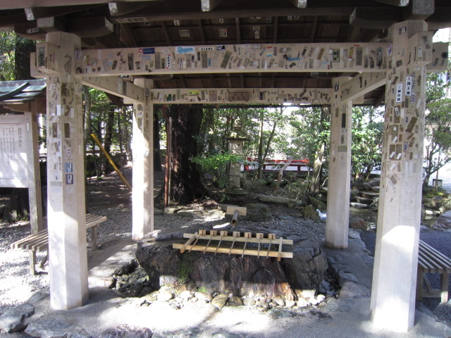 ���c�F�_��