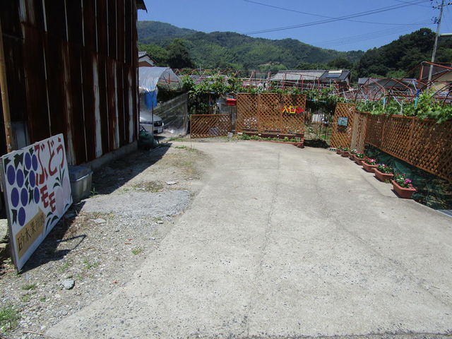 �_�������_���{�ʎ����^�Ԃǂ�