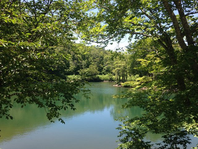 �����g�ȁu�����v�ɉ̂��Ă����̂ŁA�O���痈�Ă݂����Ǝv���Ă��܂����B_�h�b�R��