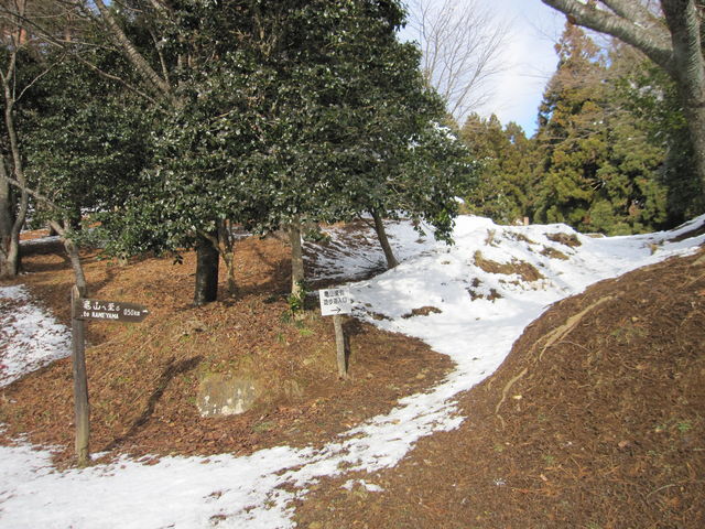 2015�N1��3���B�e�j
�C����哇�u�T�R�V�����v�T�R�����V��������_�T�R�V����