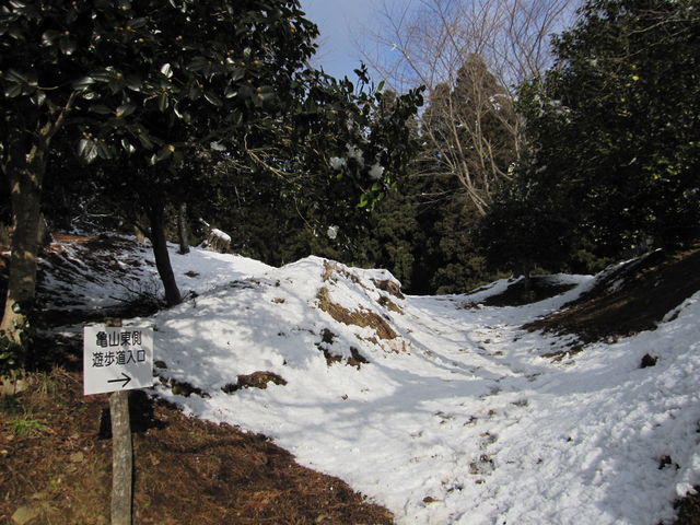 2015�N1��3���B�e�j
�C����哇�u�T�R�V�����v�T�R�����V��������_�T�R�V����