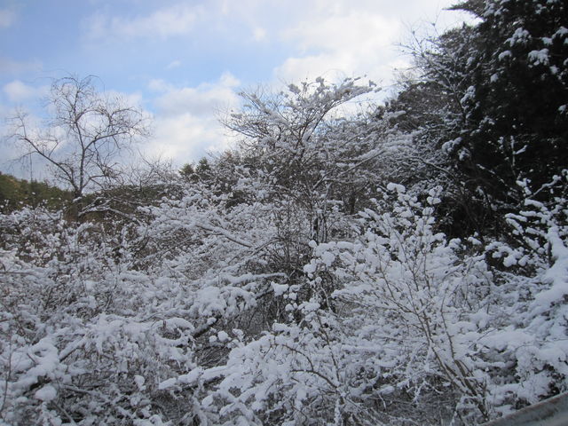 2015�N1��3���B�e�j
�C����哇�u�T�R�V�����v_�T�R�V����