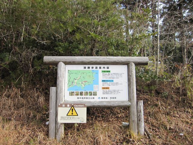 2015�N1��3���B�e�j
�C����哇�u�T�R�V�����v�T�������ē��}�i���ȁE�{�錧�j_�T�R�V����