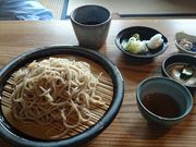 ꂨ񂳂̑h R{̓eʐ^3