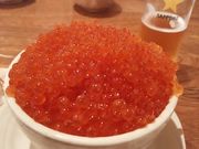 Ԃ̊C ͂傤 ʒ ӂ̓eʐ^1