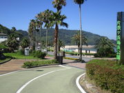 ����҂�����̕ГY���l�C�l�����̓��e�ʐ^1