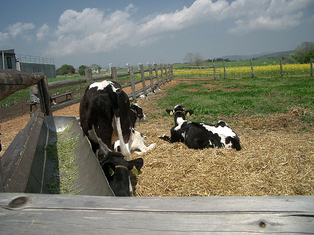 �������P�P�W