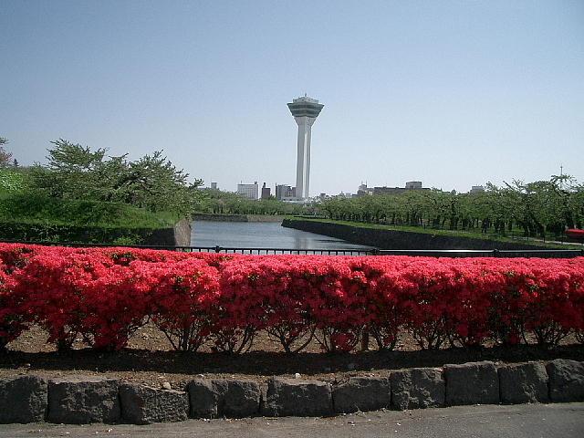 �ܗŊs����