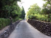 monbran����̓����[���Ɖ��~�Q�̓��e�ʐ^1