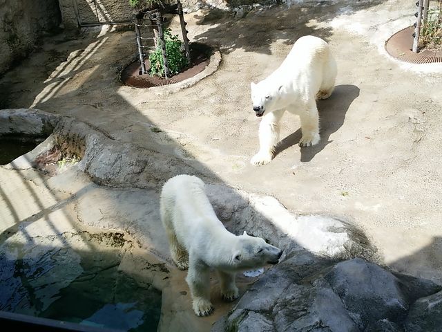 ���R������