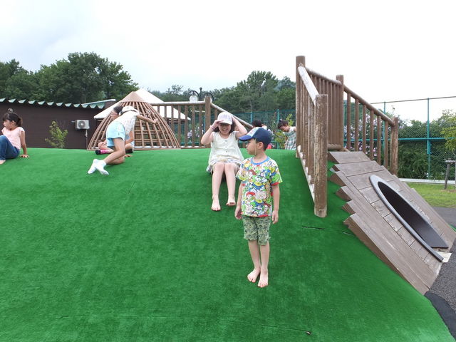 �V�����Ȃ����V��_�~�R������