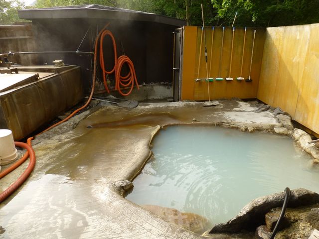 �����C���E�ߏ����A�ق�ƂɃL���C�I���|���ĉ�����ɐS���犴�ӂł�<m(__)m>_�F�̓�