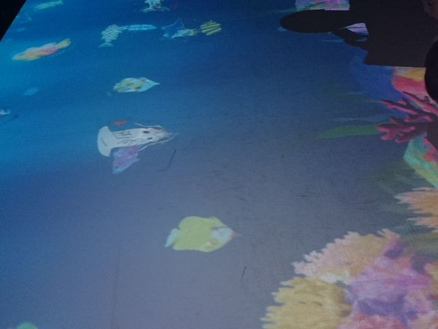 �F�{�s������p��