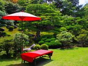 p7777777̋|щ@̓eʐ^2