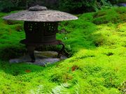 p7777777̋|щ@̓eʐ^5