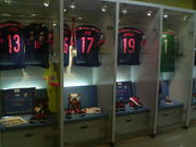 �]�ˉƉ��L����̓��{�T�b�J�[�~���[�W�A���̓��e�ʐ^5