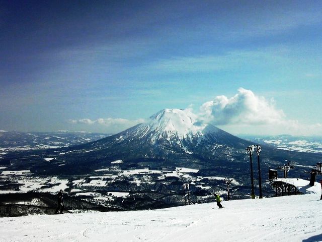 �S�����������Ă����o���I�j�Z�R�q���t�Ɖԉ�����G���A�B_�r���R