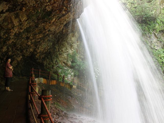 ����_����