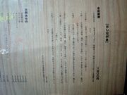 ܂Ղ̑˓̑䏊̓eʐ^4