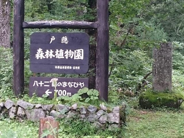 �ˉB�X�ѐA����