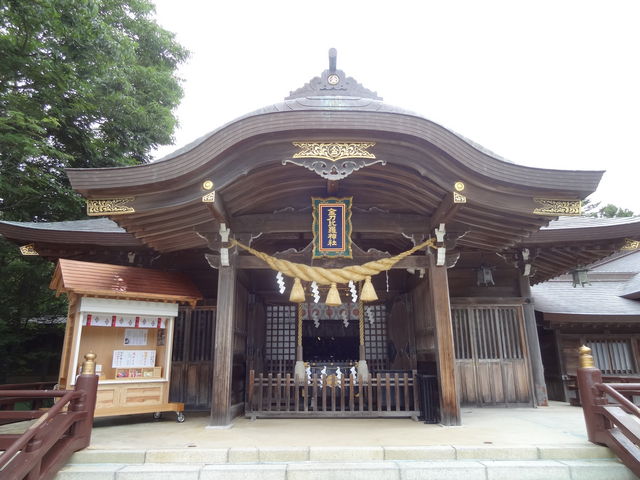 �����䗅�_��