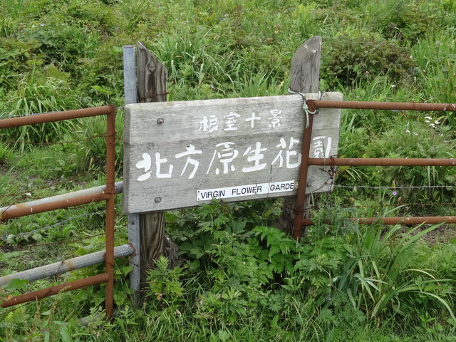 �k�������ԉ�
