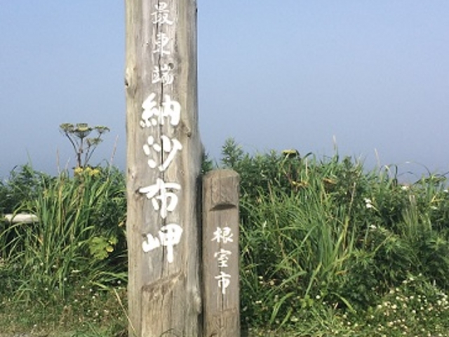 ��_�[���z��