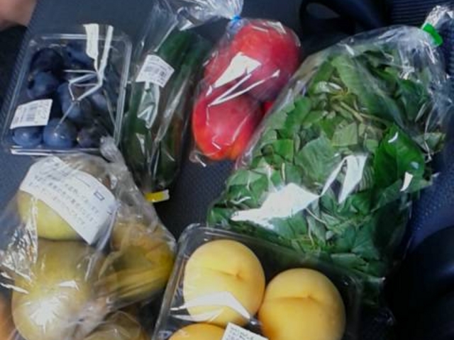 p[v@miV@}ȃs[`@wC@LE@lN^@v1100~_z{nCEFCIAVX