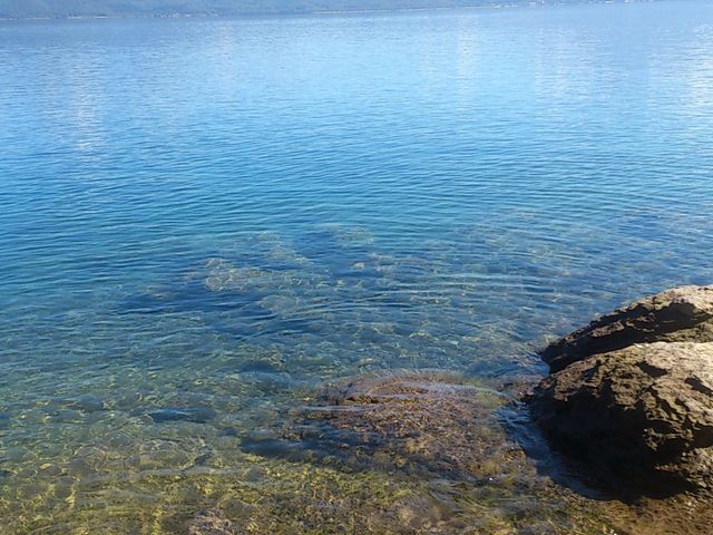 �����ƂĂ��Y��_�c���