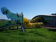 Ђ񂳂̂ʂǂ̍̓eʐ^2