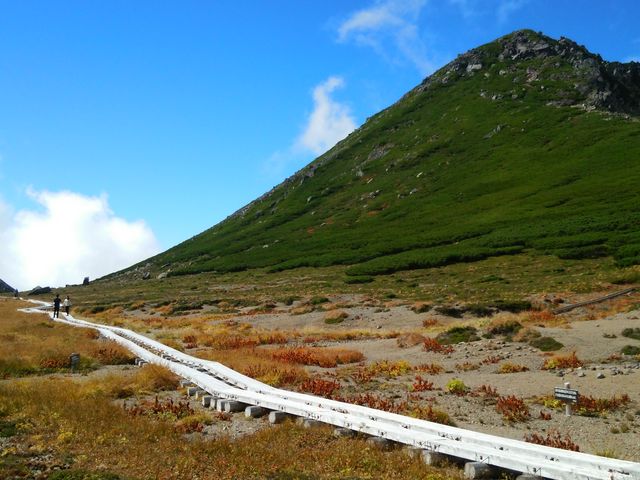 ���Ԕ� �������̎����ŉԂ͍炢�Ă܂���_��Ɗx