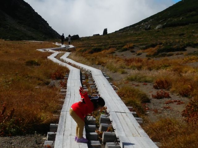 ��ɑ�����_��Ɗx