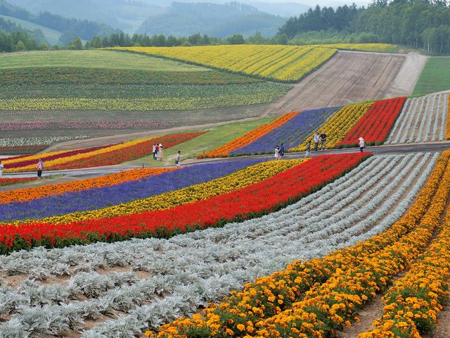 �l�G�ʂ̋u_�l�G�ʂ̋u