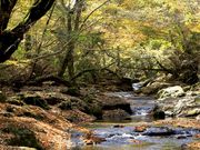 kiyochañ}[mkJ̓eʐ^1