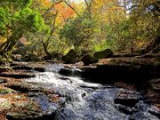 kiyochañ}[mkJ̓eʐ^4