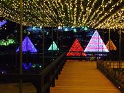 ڂ񂳂̂܃t[p[N̓eʐ^1