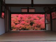 hide����̒A�n�������h�E�_���c�c�W�̓��e�ʐ^1