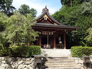 ���ǁ[����̔򒹍��_�Ђ̓��e�ʐ^2