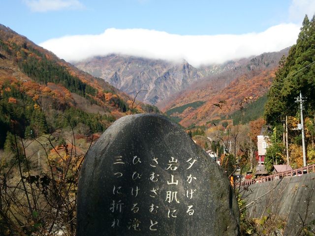 �J��x���o�b�N�Ɏ�R�q����_�J�쉷��