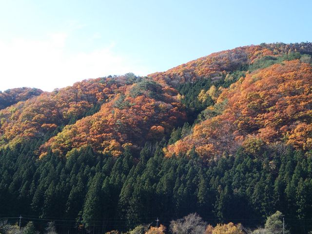 �����̍g�t_�J�쉷��